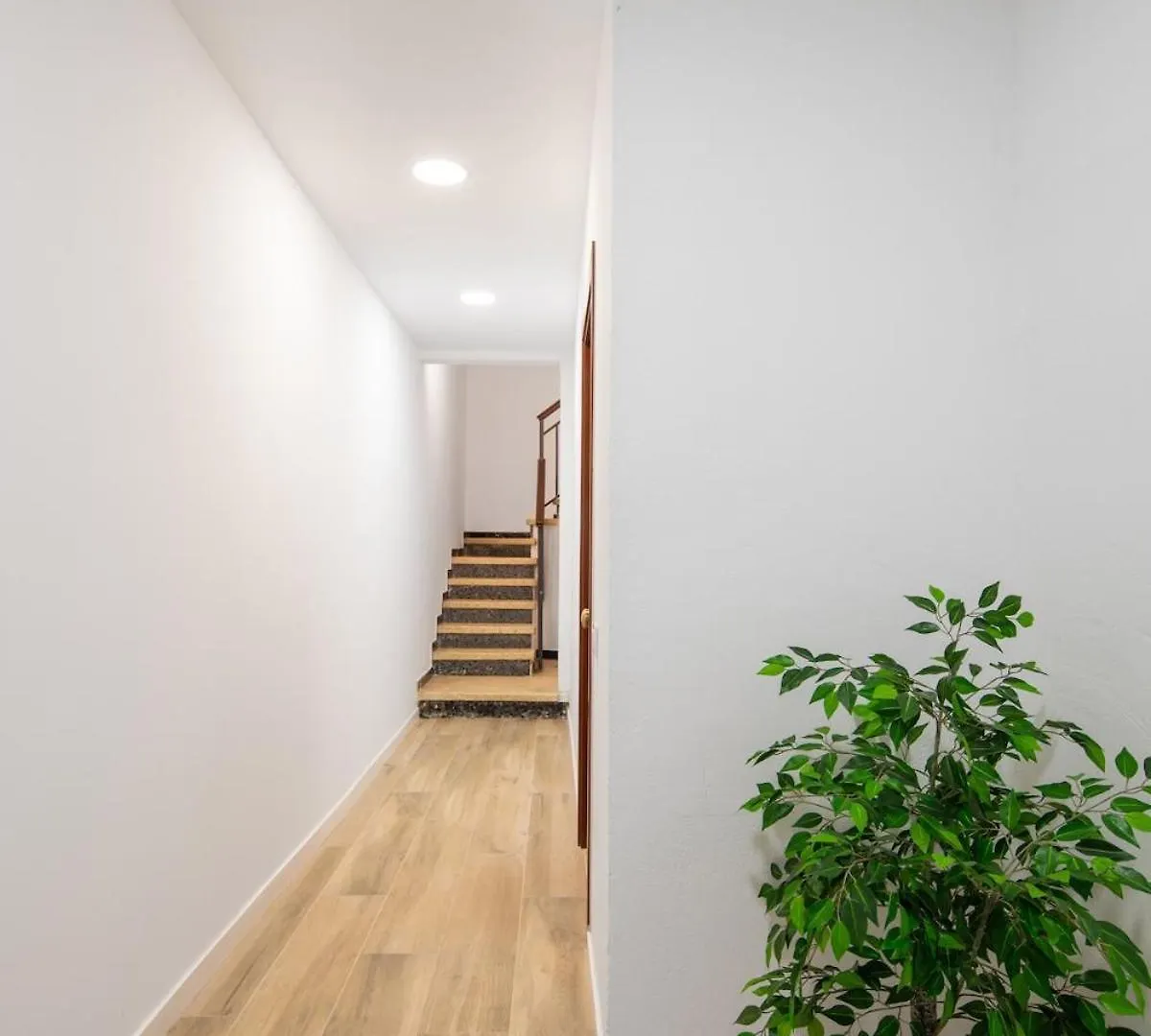 Apartament Coqueto, Centrico Y Cerca De La Playa Palamós